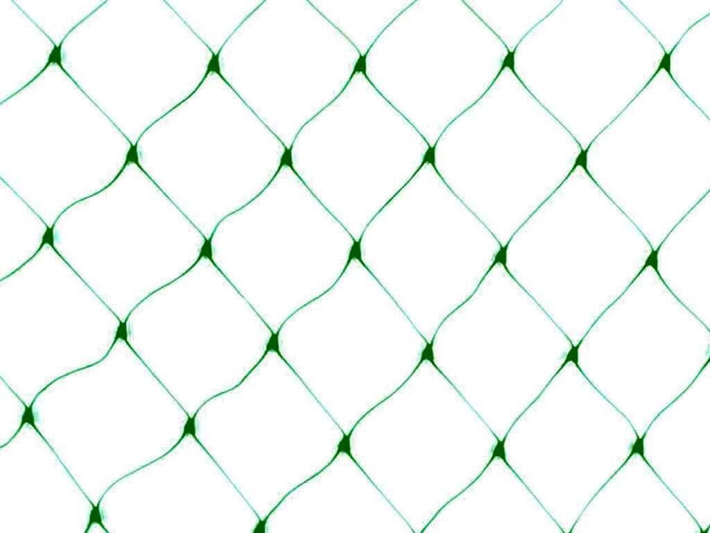 Intermas 120018 BIRDNET 8x10 m 18x18 mm UV Filtreli Kuştan Koruma Ağı Paketli (PP)