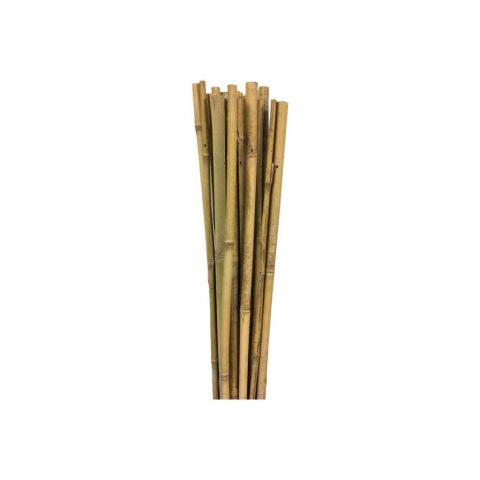 Gardener 63713 Bambu Destek Çubuğu 10-12 mm X 120 cm