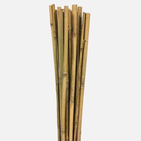 Gardener 63722 Bambu Destek Çubuğu 18-20 mm X 210 cm