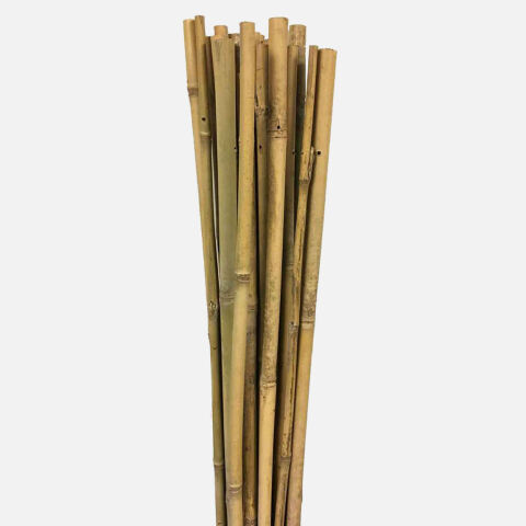 Gardener 63722 Bambu Destek Çubuğu 18-20 mm X 210 cm